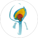 Flavio B. profile picture