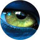 Antoine R. profile picture